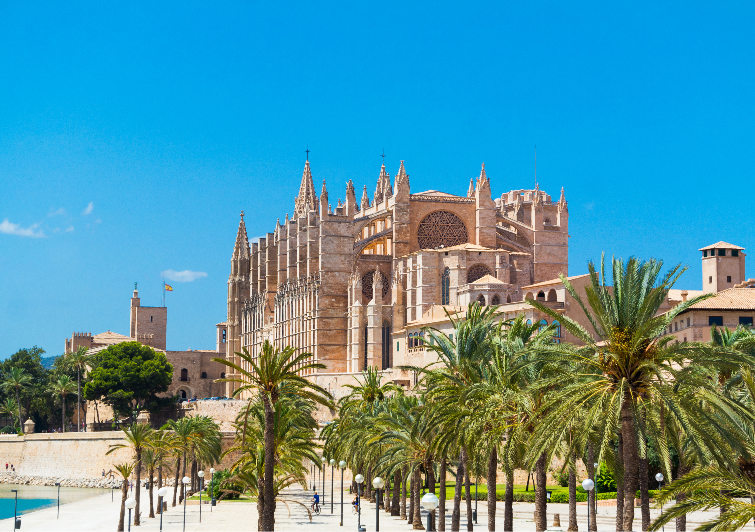 Palma Boat Show 2026: Things to Do, Places to Visit & Local Experiences in Palma