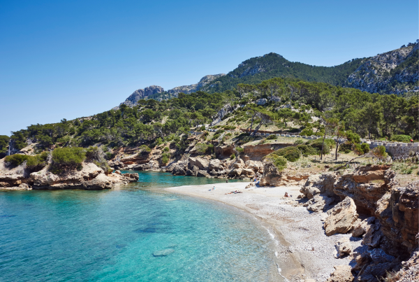 beach in mallorca